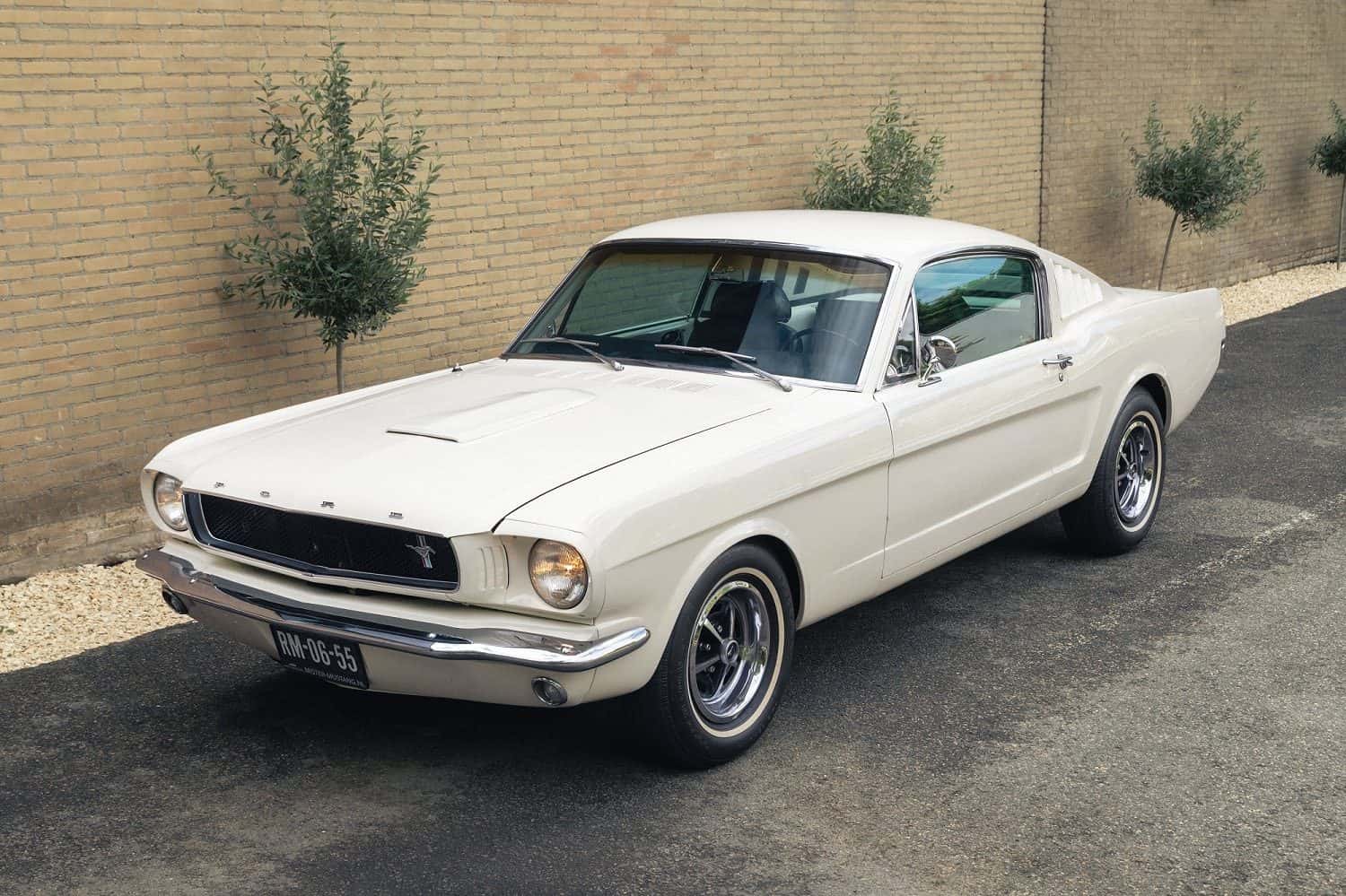Ford Mustang Fastback huren Zwijndrecht — JS Trouwauto's