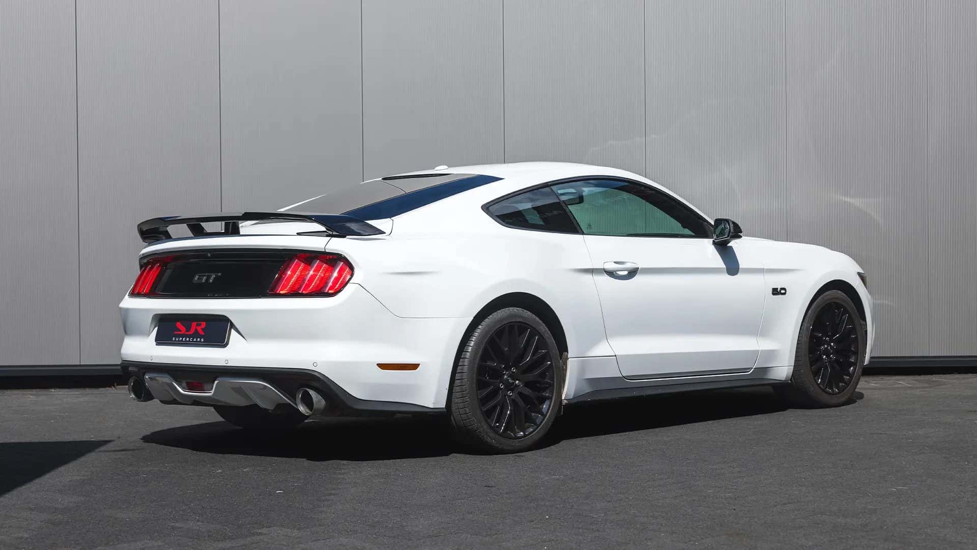 Ford Mustang GT 5.0 huren Den Bosch — SJR Supercars