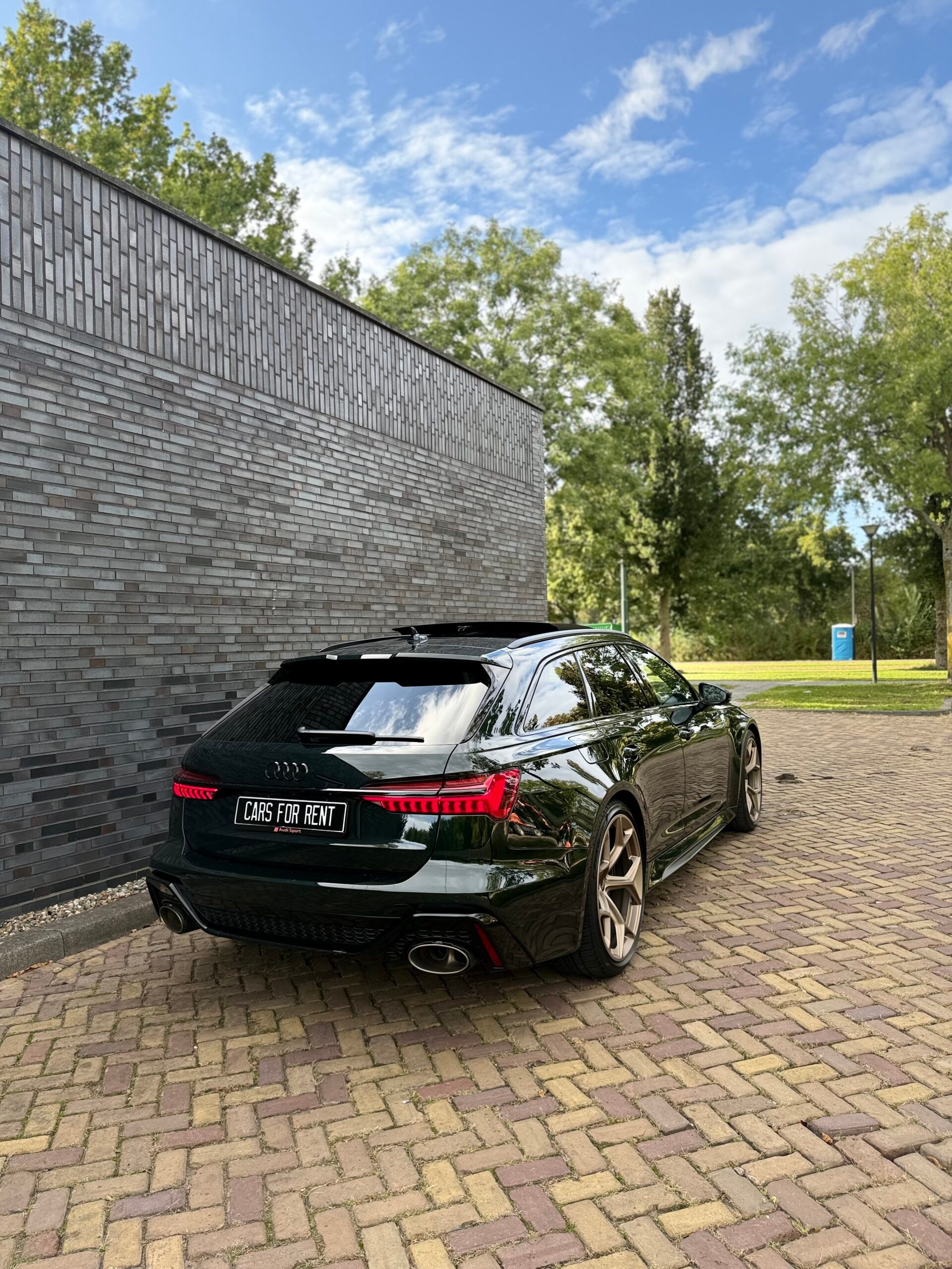 Audi RS6 C8 Avant Performance 10