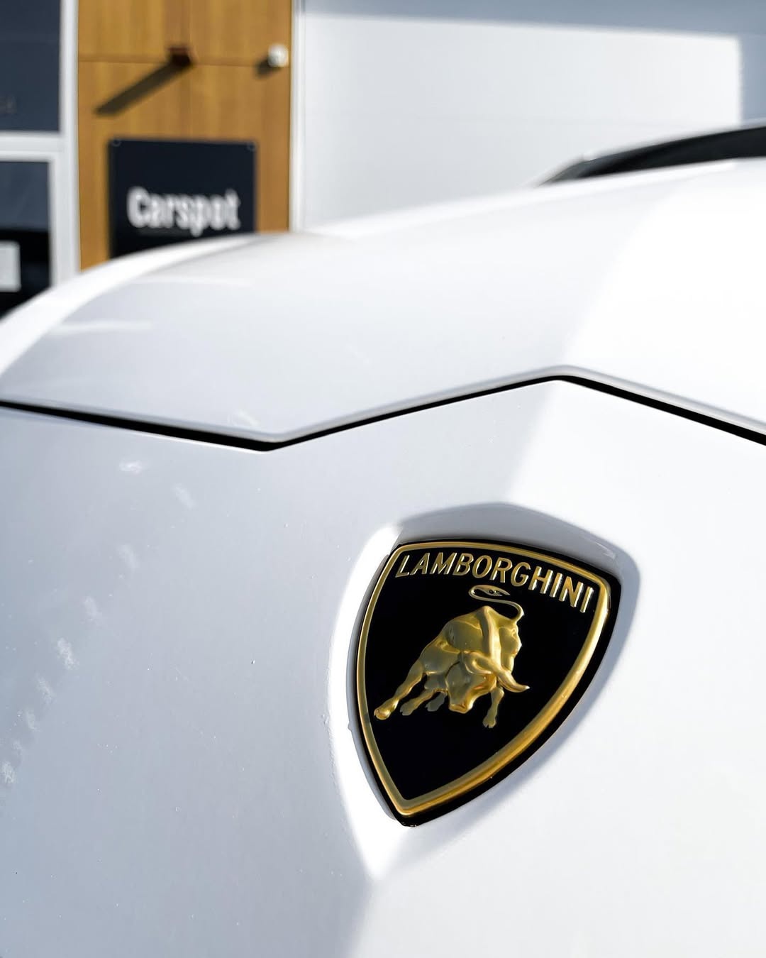 Lamborghini Urus (Rode Accenten) 3