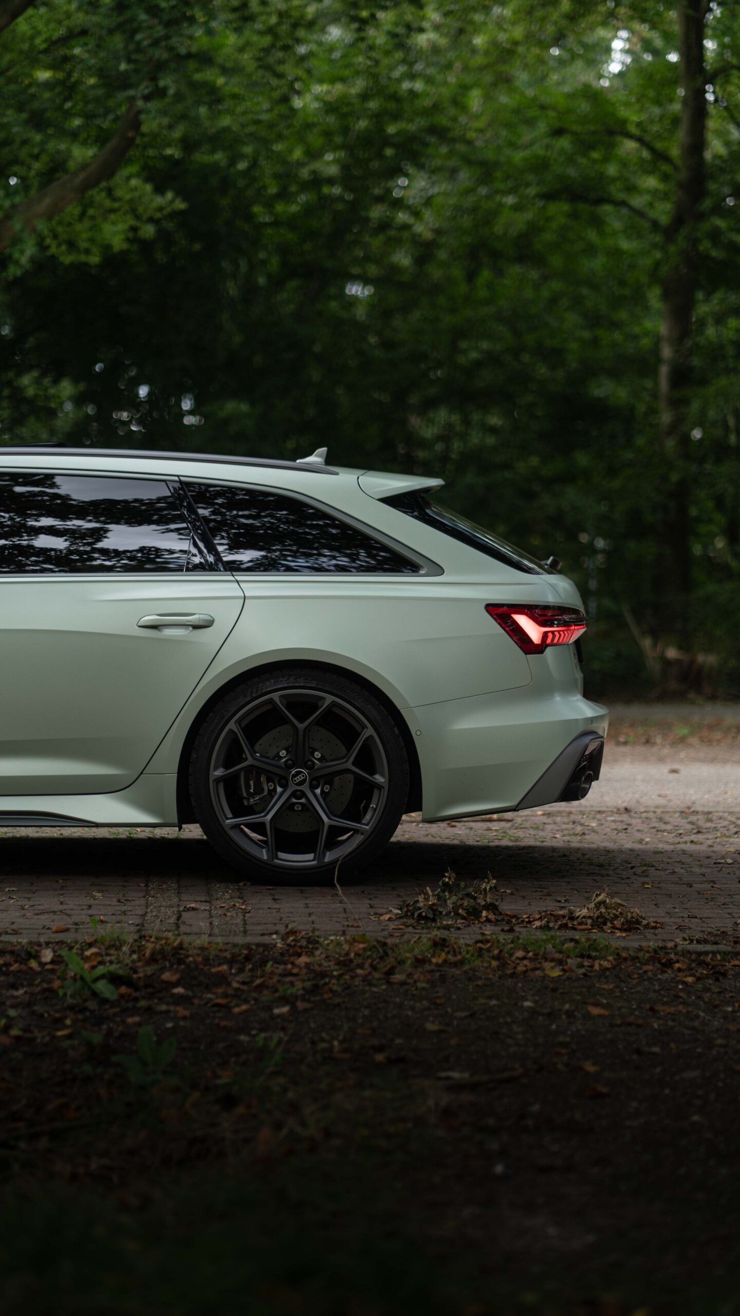 Audi RS6 Avant C8 Performance 11