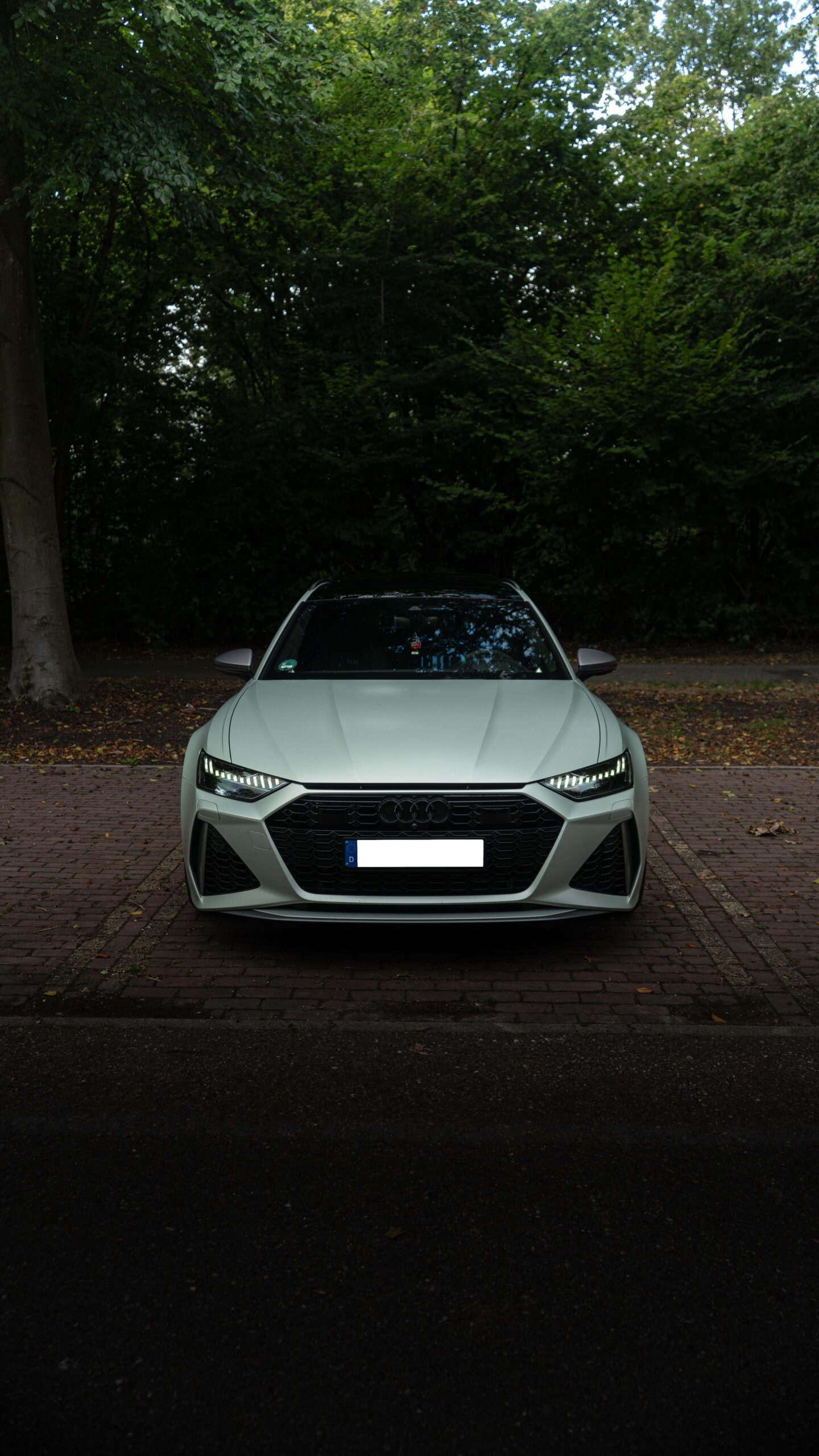 Audi RS6 Avant C8 Performance 4