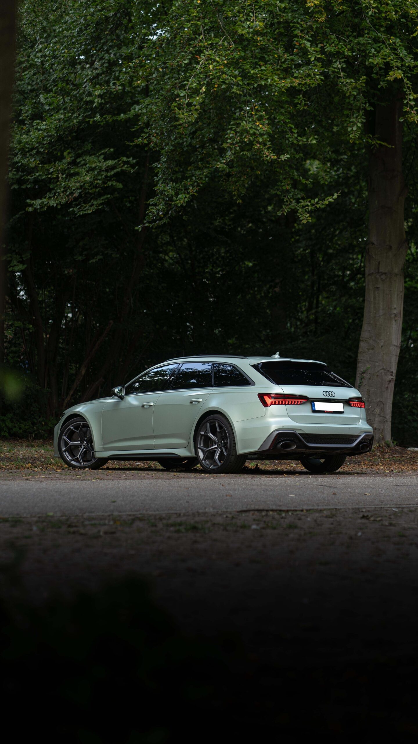 Audi RS6 Avant C8 Performance 5