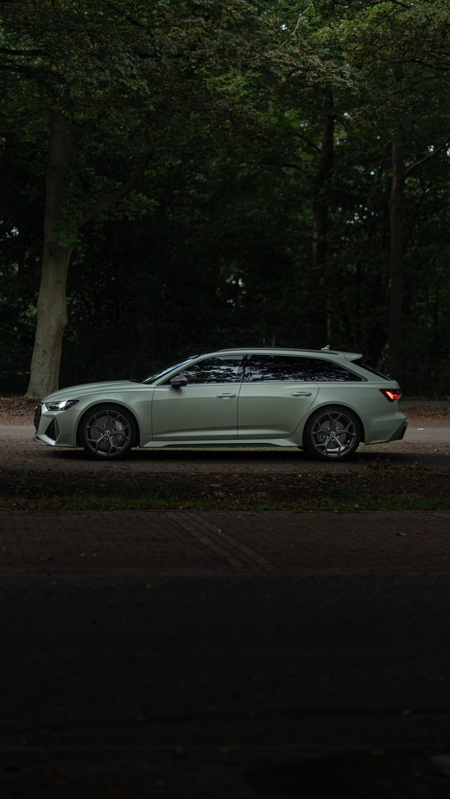 Audi RS6 Avant C8 Performance 6