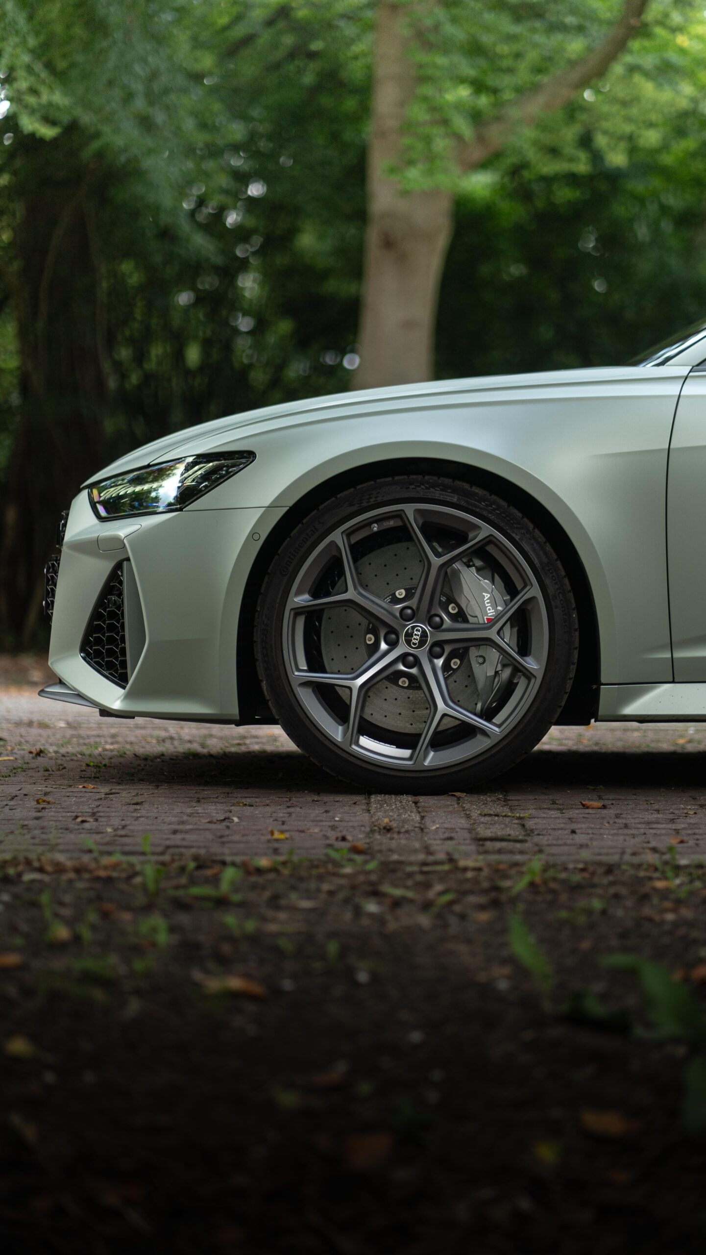 Audi RS6 Avant C8 Performance 10