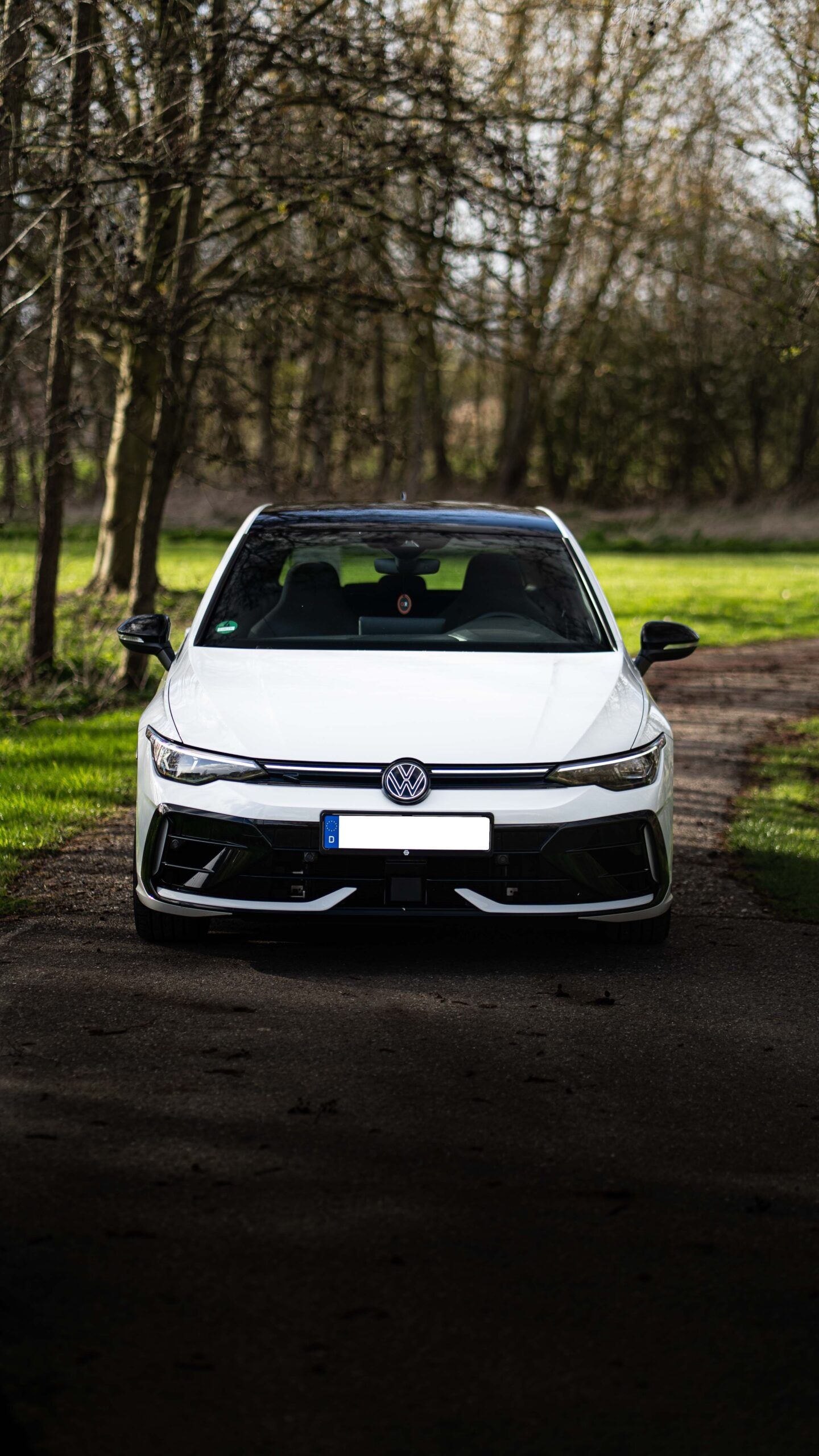 Volkswagen Golf 8.5R Black Edition 9